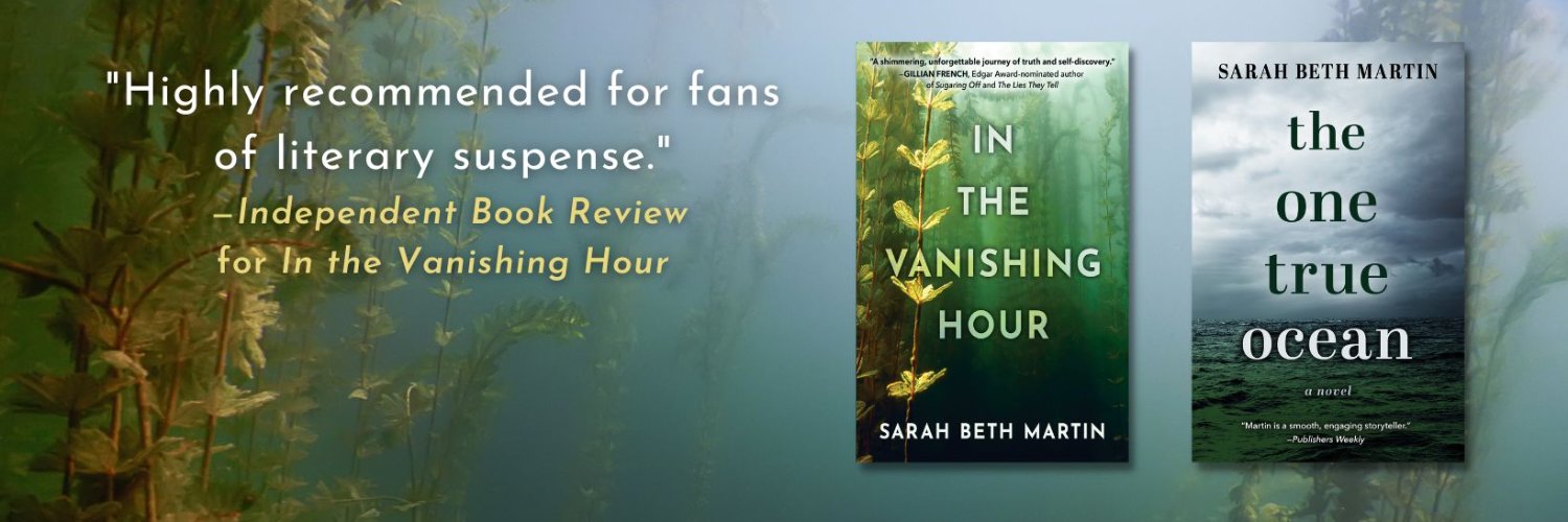 SBethMartin's profile banner image