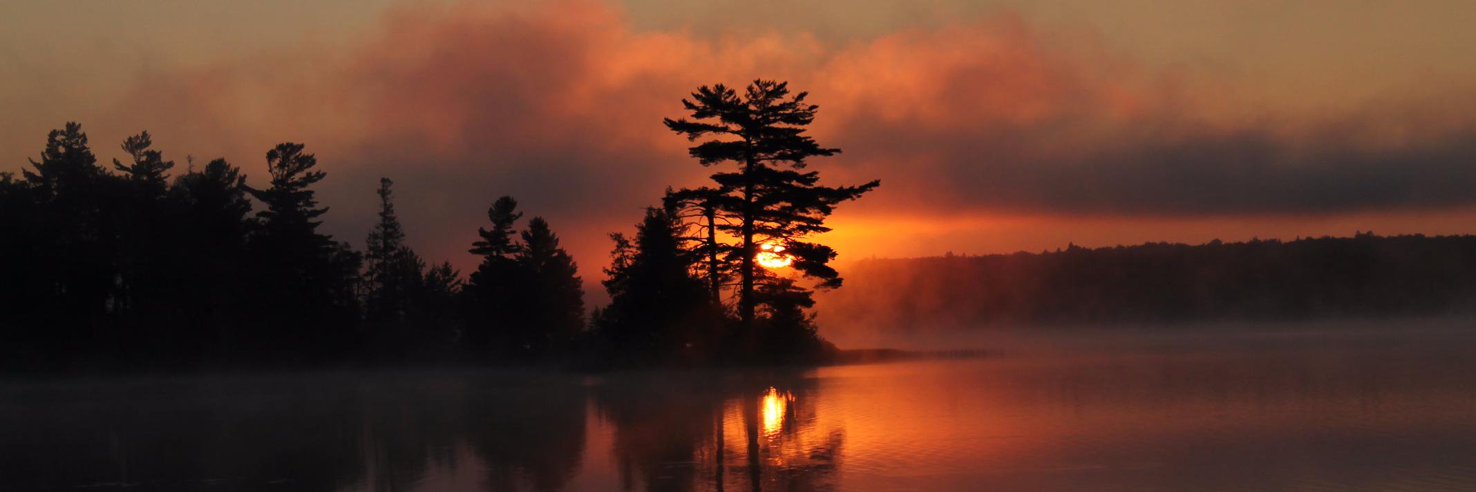 AcademyofLeisureSci banner