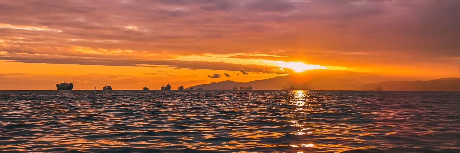 mr_shjoy's profile banner image