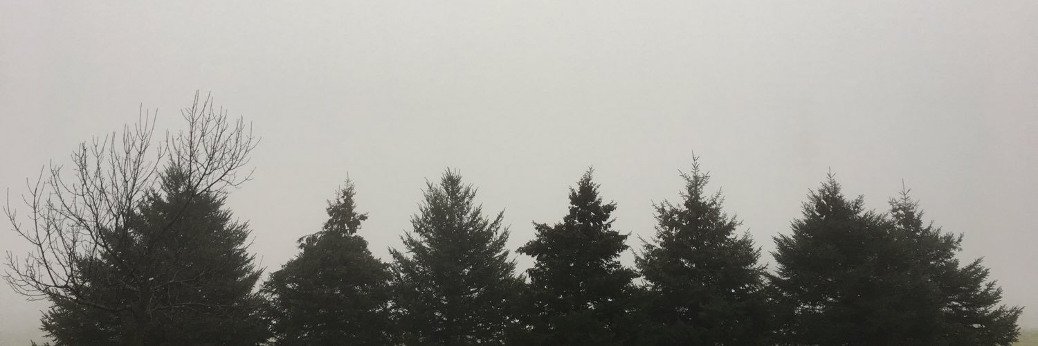 Benny_Blev's profile banner image