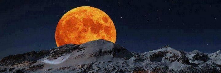 George William V banner