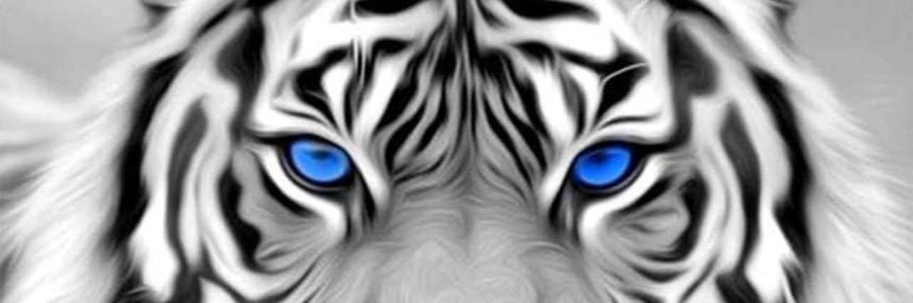 Coach_Drayton (JD) banner