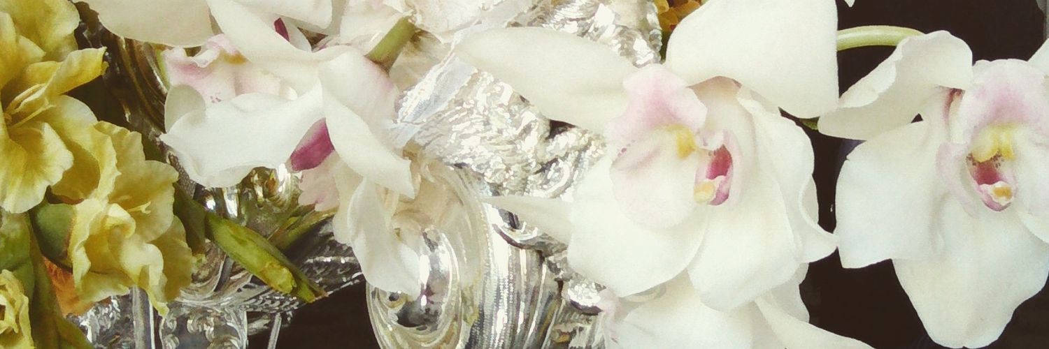 InmaFalcon1's profile banner image