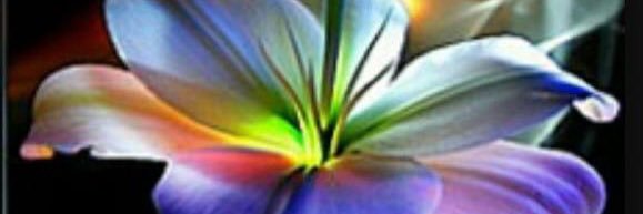 aam404012's profile banner image