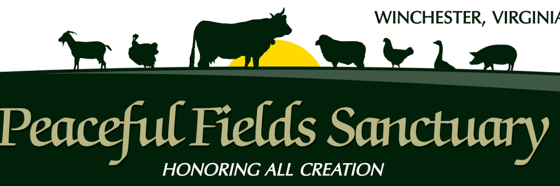 PFsanctuary's profile banner image