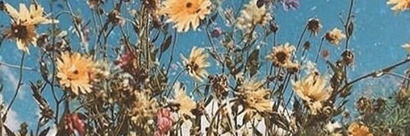 _paytonroberts's profile banner image