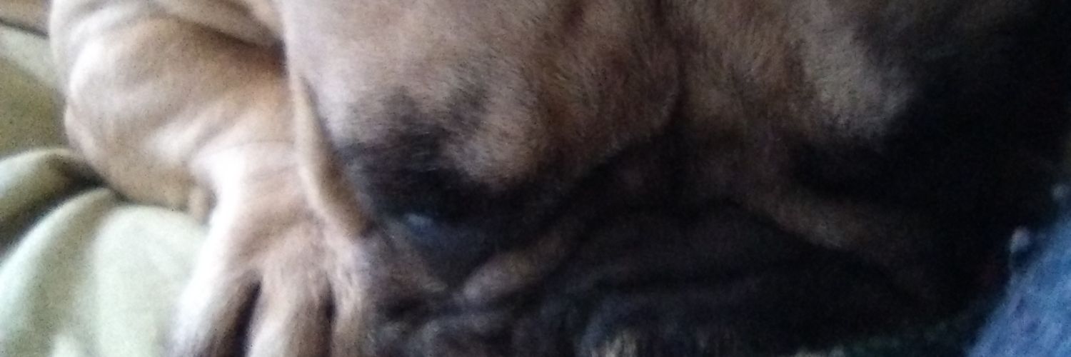 amoros_mari's profile banner image