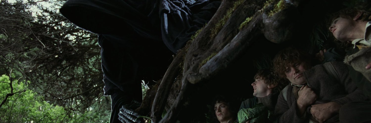 FBottero's profile banner image