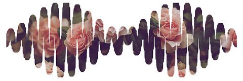 CandelaaGodoy_'s profile banner image