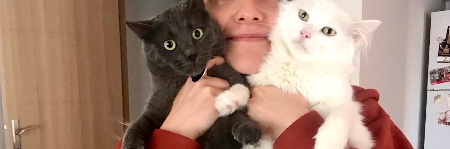 begumzgr's profile banner image