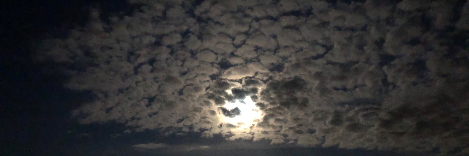 Walking on Sunshine ☀️ 🌸 banner