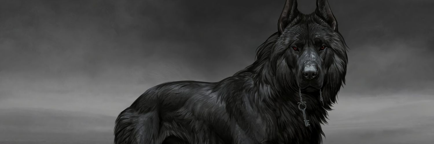 _laja__od's profile banner image