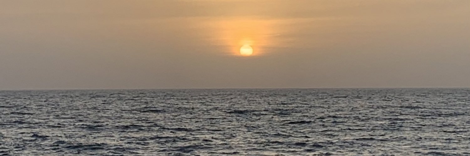 arin_dey's profile banner image