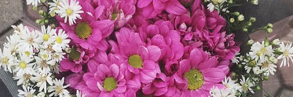 vembrianic Profile Banner