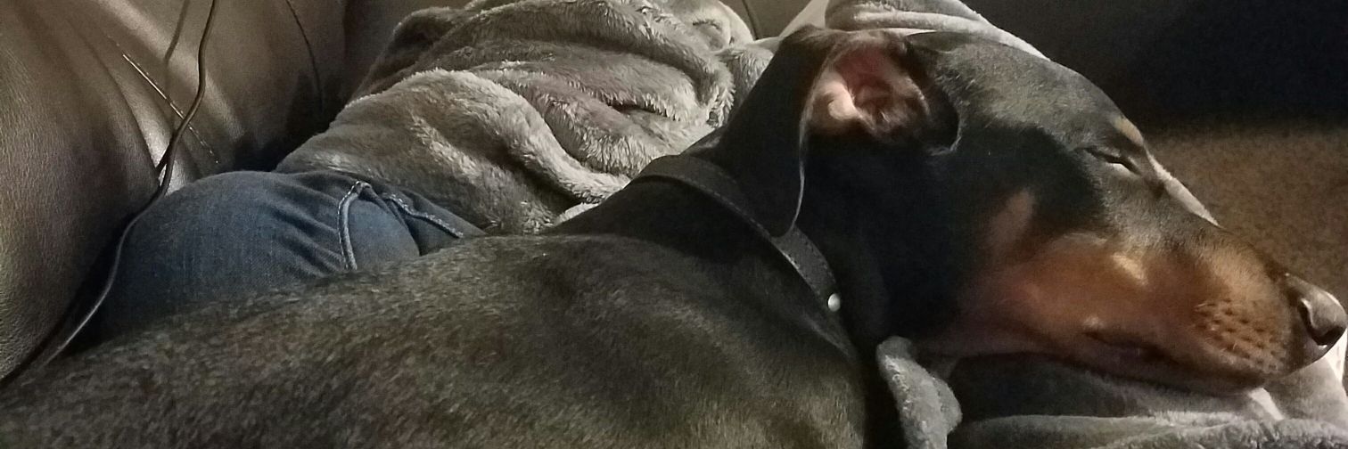 MorganConrad_'s profile banner image