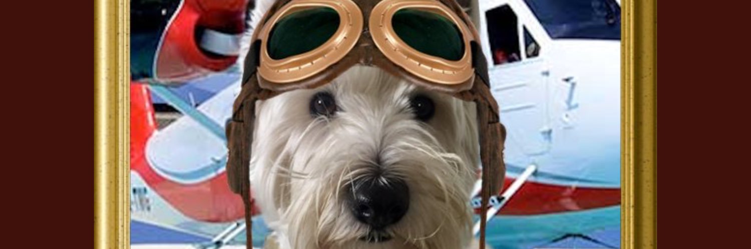 BuddyLorna's profile banner image