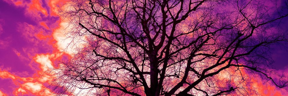 thachtruc's profile banner image