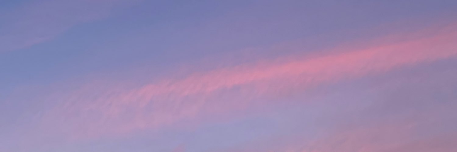 finessa hudgens banner