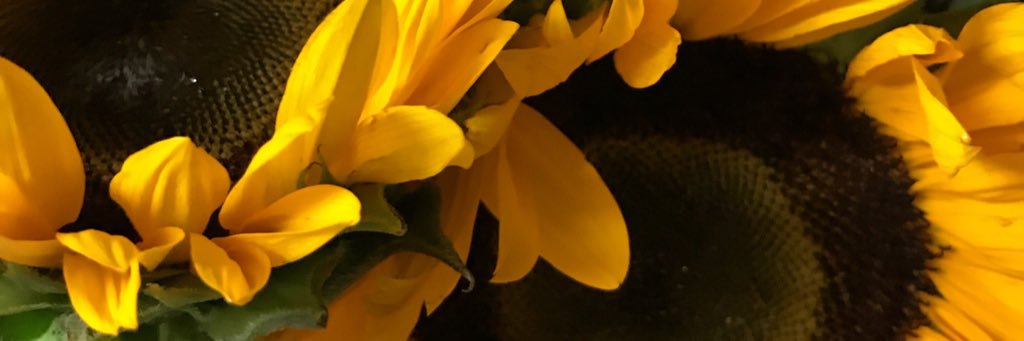 mackenzie_lea's profile banner image