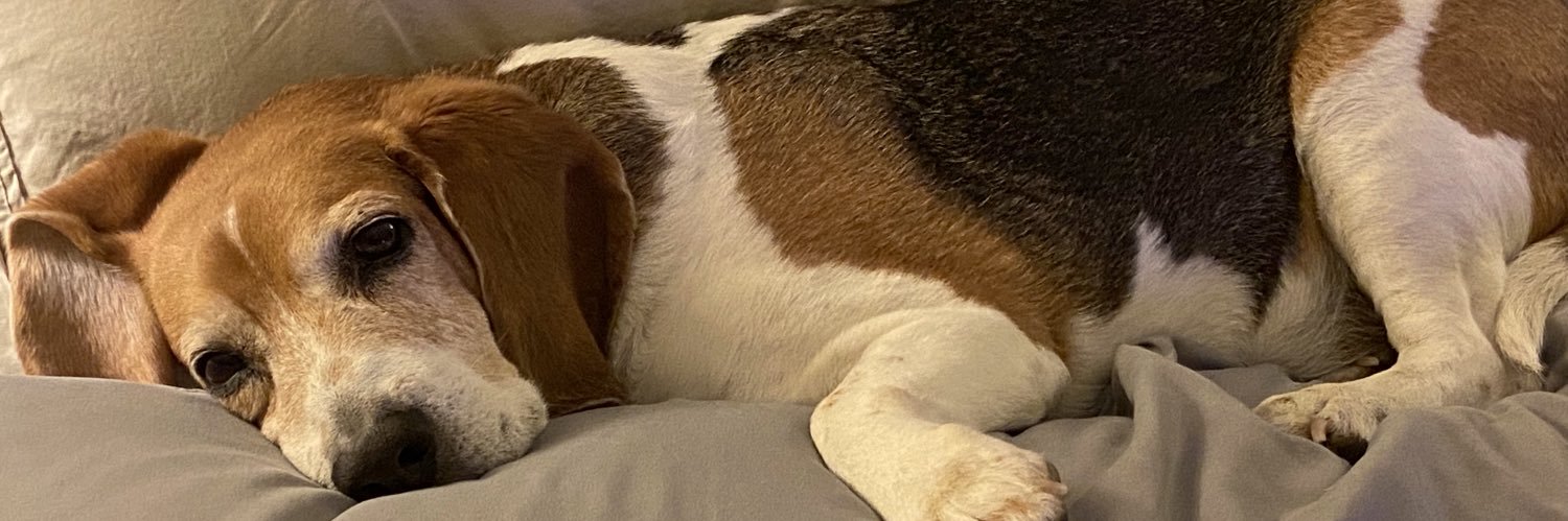 Gordon Beeding banner