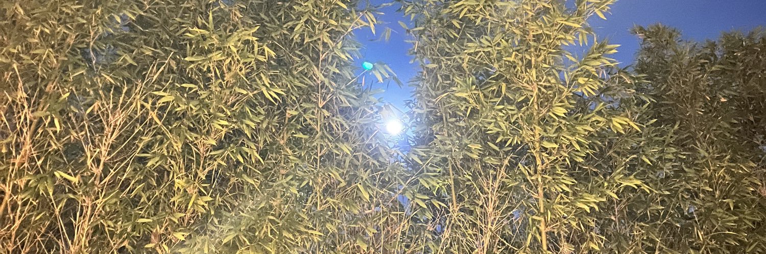 Van Jefferson banner