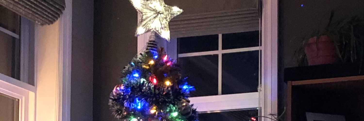 Sean Fergusson banner