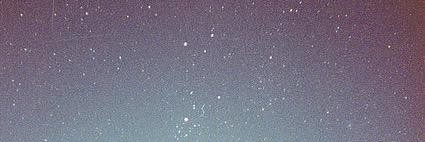 mustangbunnee's profile banner image