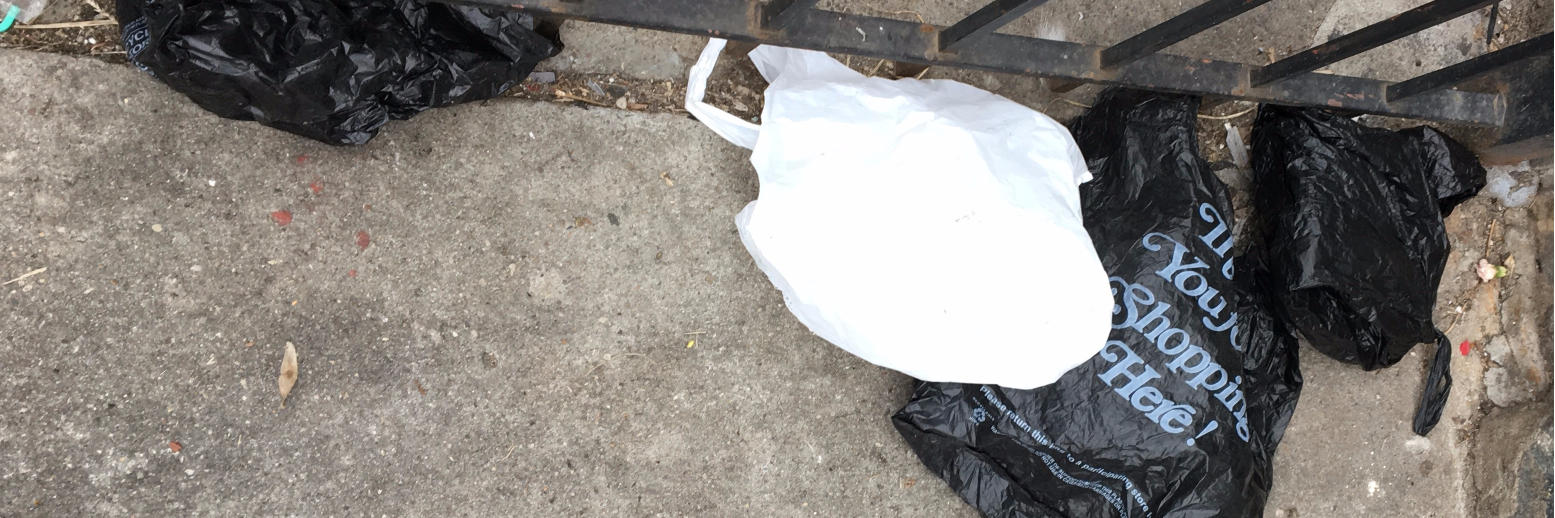 plasticbaglaws's profile banner image