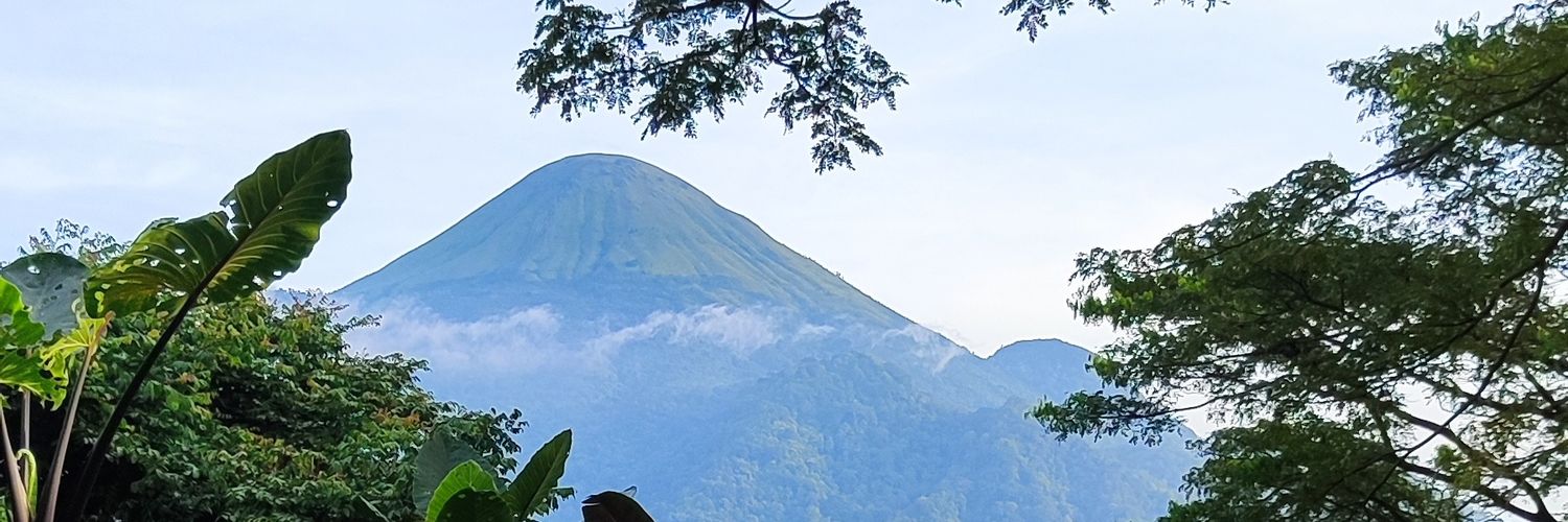 jun_juney's profile banner image