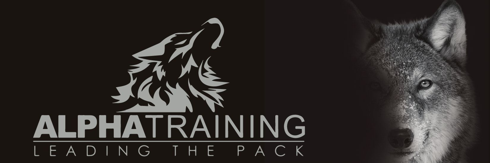 AlphaTrainingNI's profile banner image