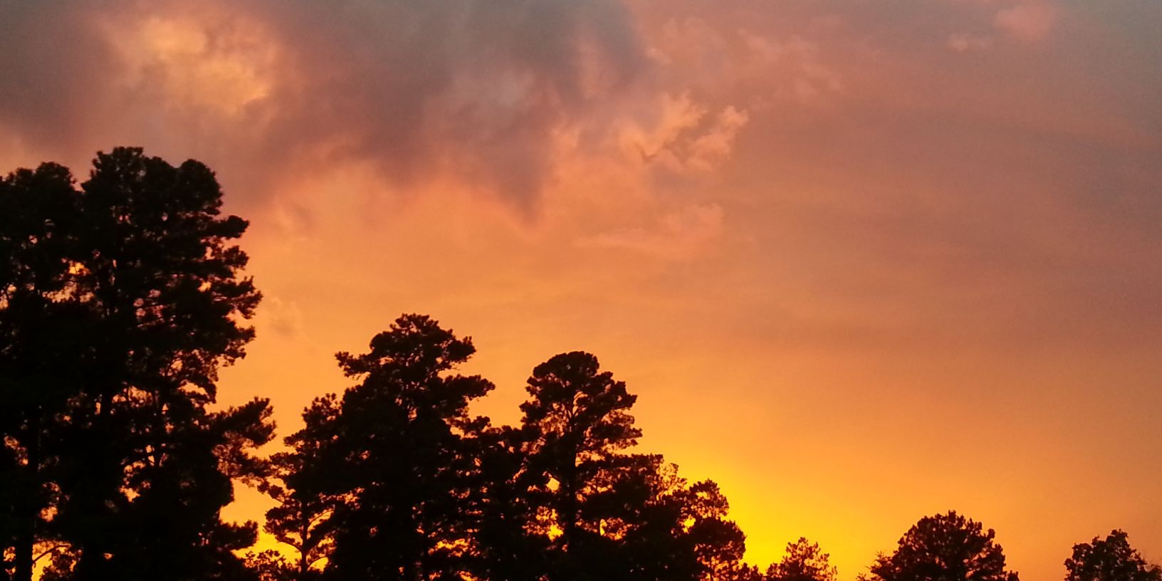 Mer_Renee's profile banner image