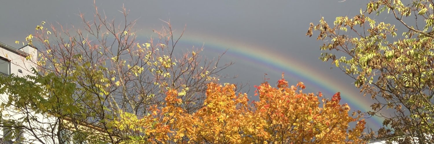 Sarah Jane Schmidt banner