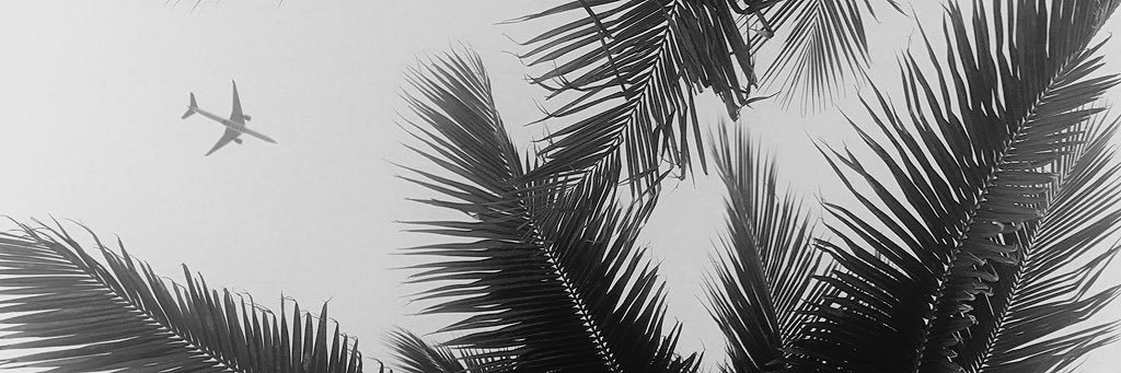 moravcovap's profile banner image