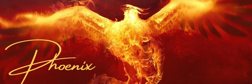 PhoenixWTF's profile banner image