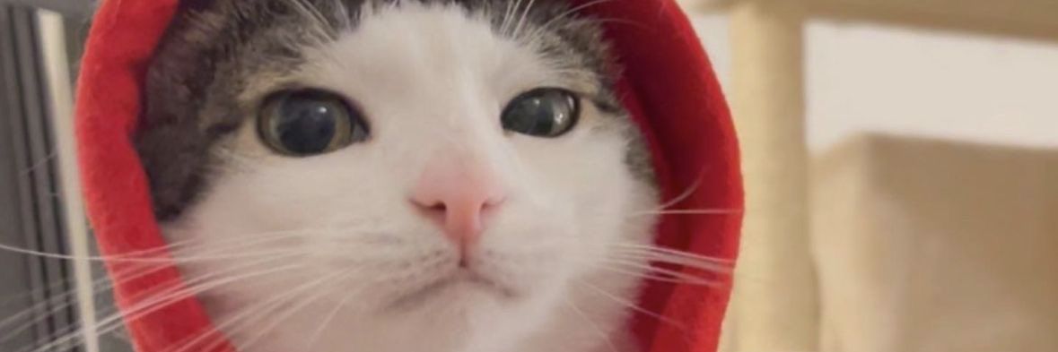 herickslept's profile banner image