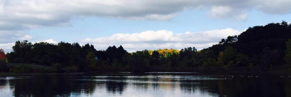 CPHaesler's profile banner image
