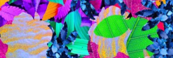 poopsock's profile banner image