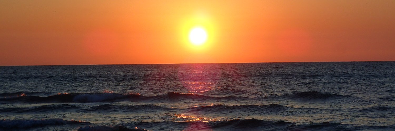 Matthew Nanes banner