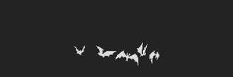 KaiNieves's profile banner image