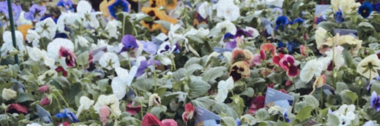 KTB96's profile banner image