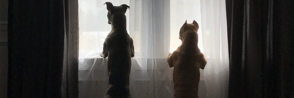 amerzingggg's profile banner image