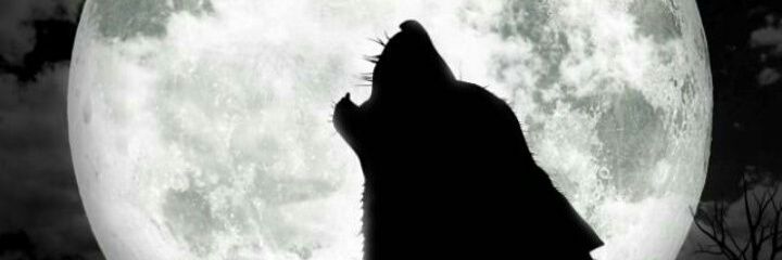 Javier Martínez banner
