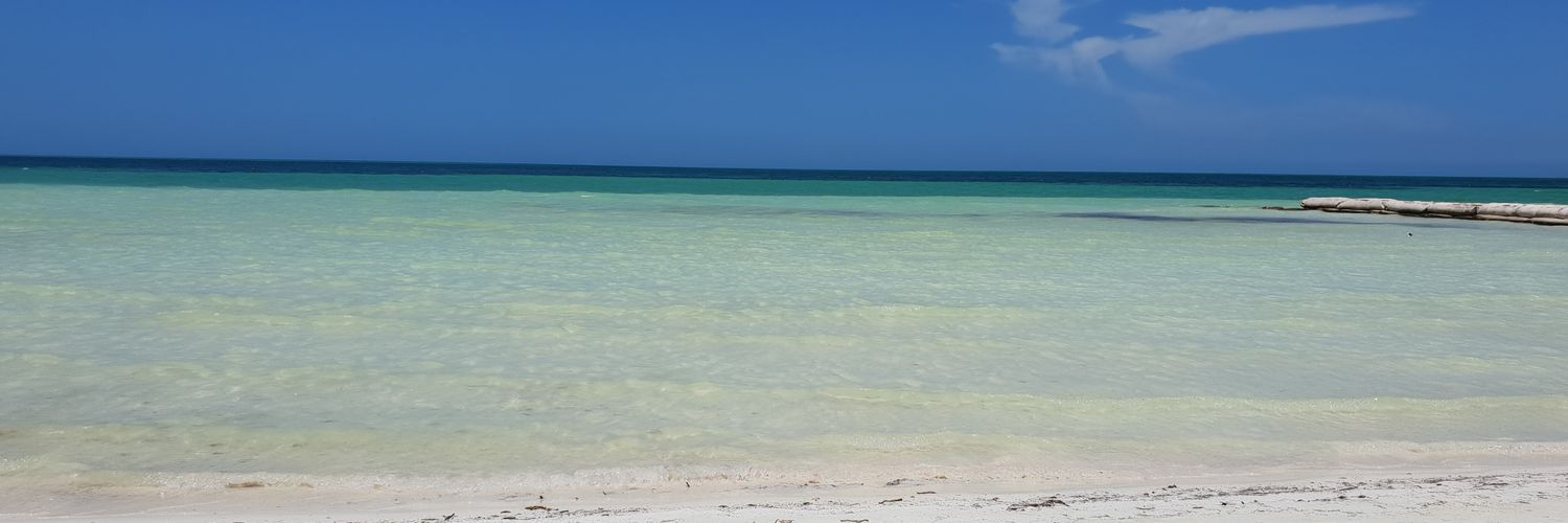 coomey7's profile banner image