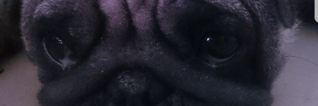 heymaemae_'s profile banner image