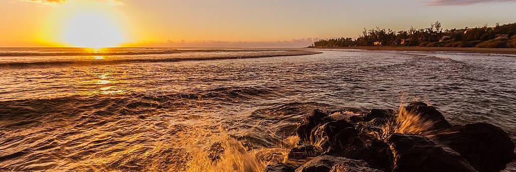 Philippe DORNIER banner