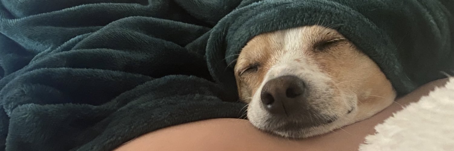 csarinaaa's profile banner image
