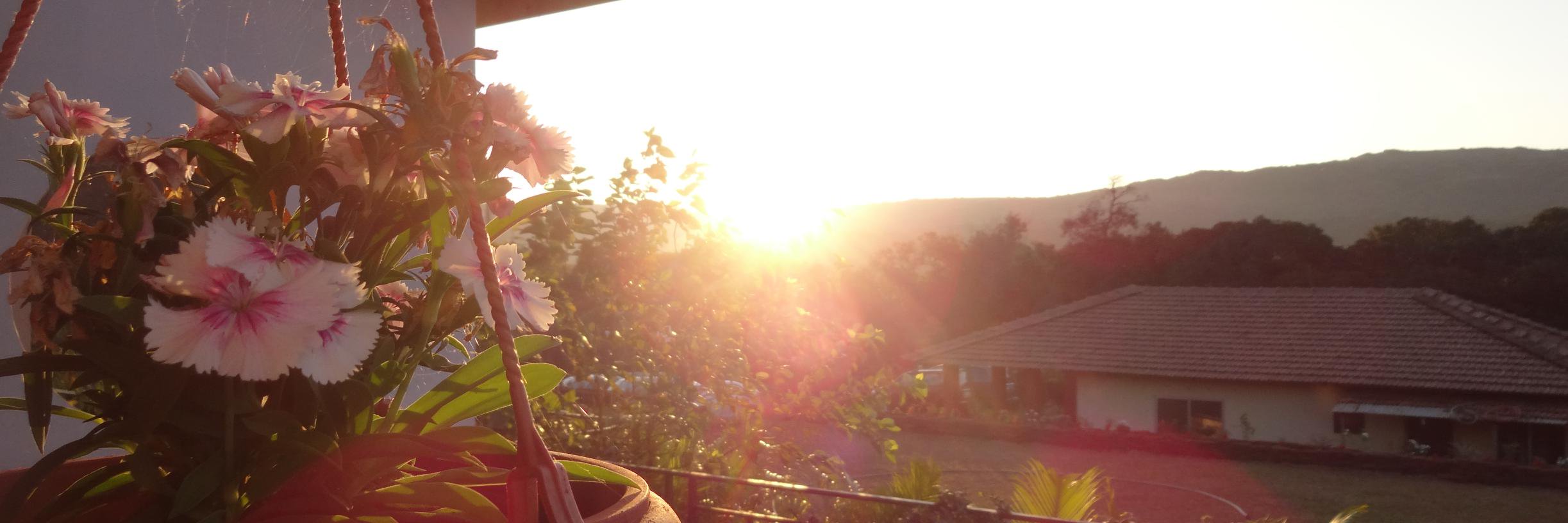 sanikam1's profile banner image