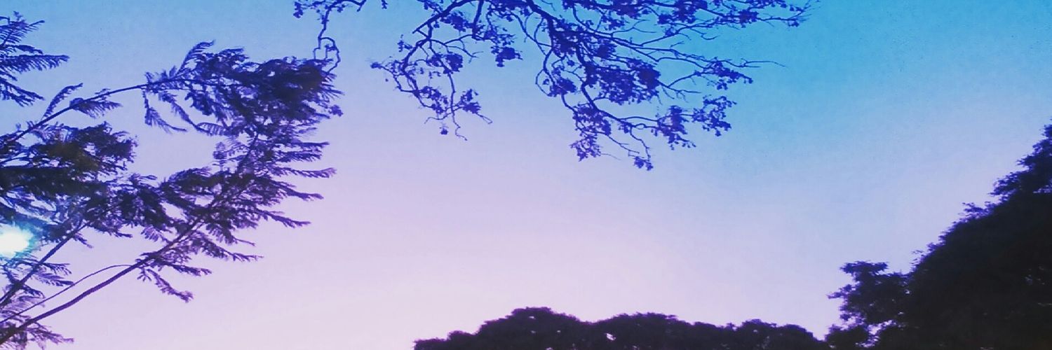dularoki's profile banner image