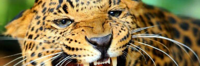 EricQCJax's profile banner image