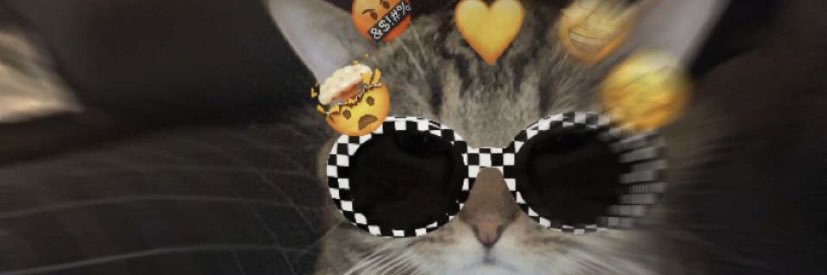 illbeyourocean's profile banner image